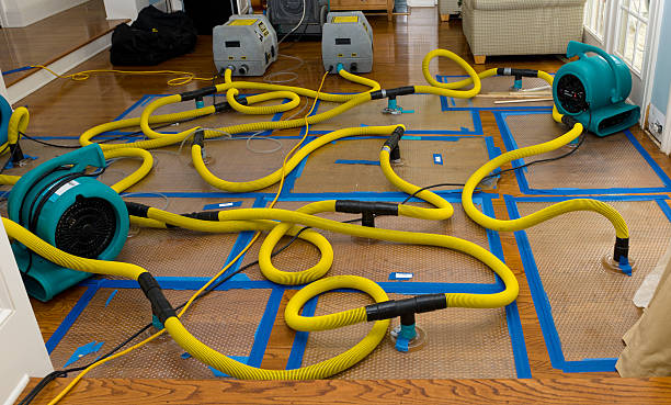 Professional Structural Drying And Dehumidification technician working in Powell, TX